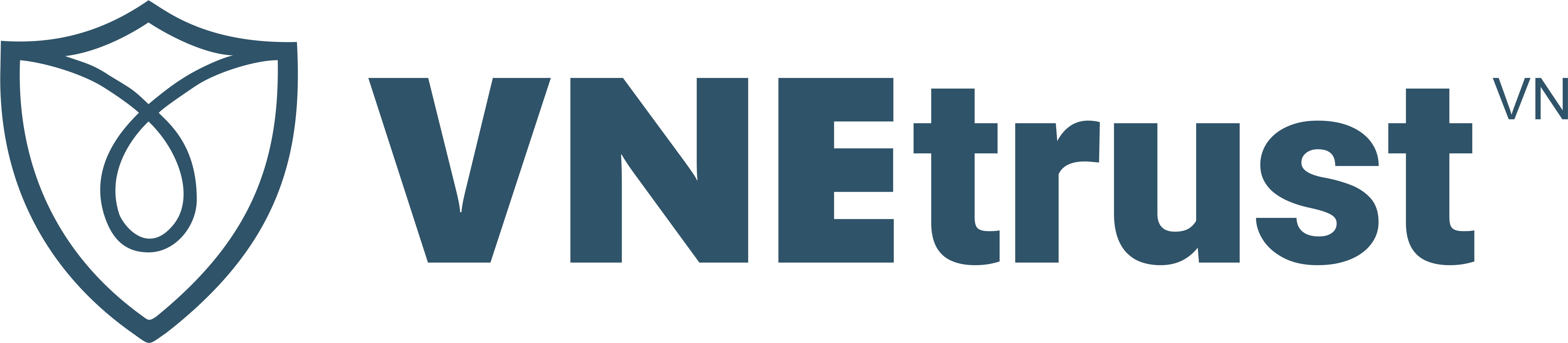 VNE Logo